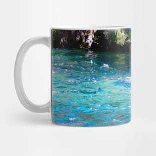 The Blue Waters of New Zealand! Mug